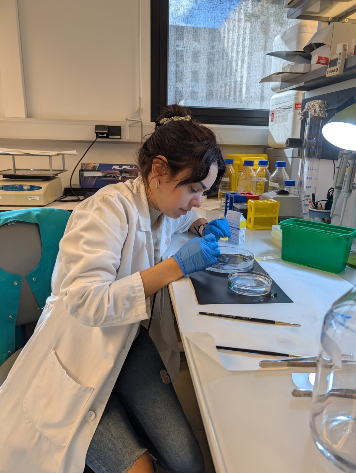 Ms. Ana Calero García